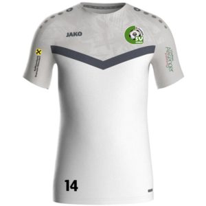 Trainingsshirt Erwachsene (Sponsor)